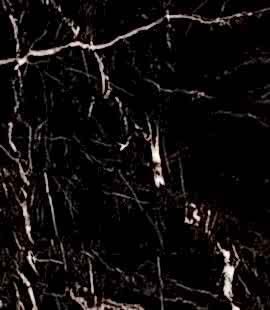 Black Spider